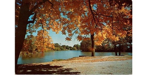 1950s chromo postcard - chromo,